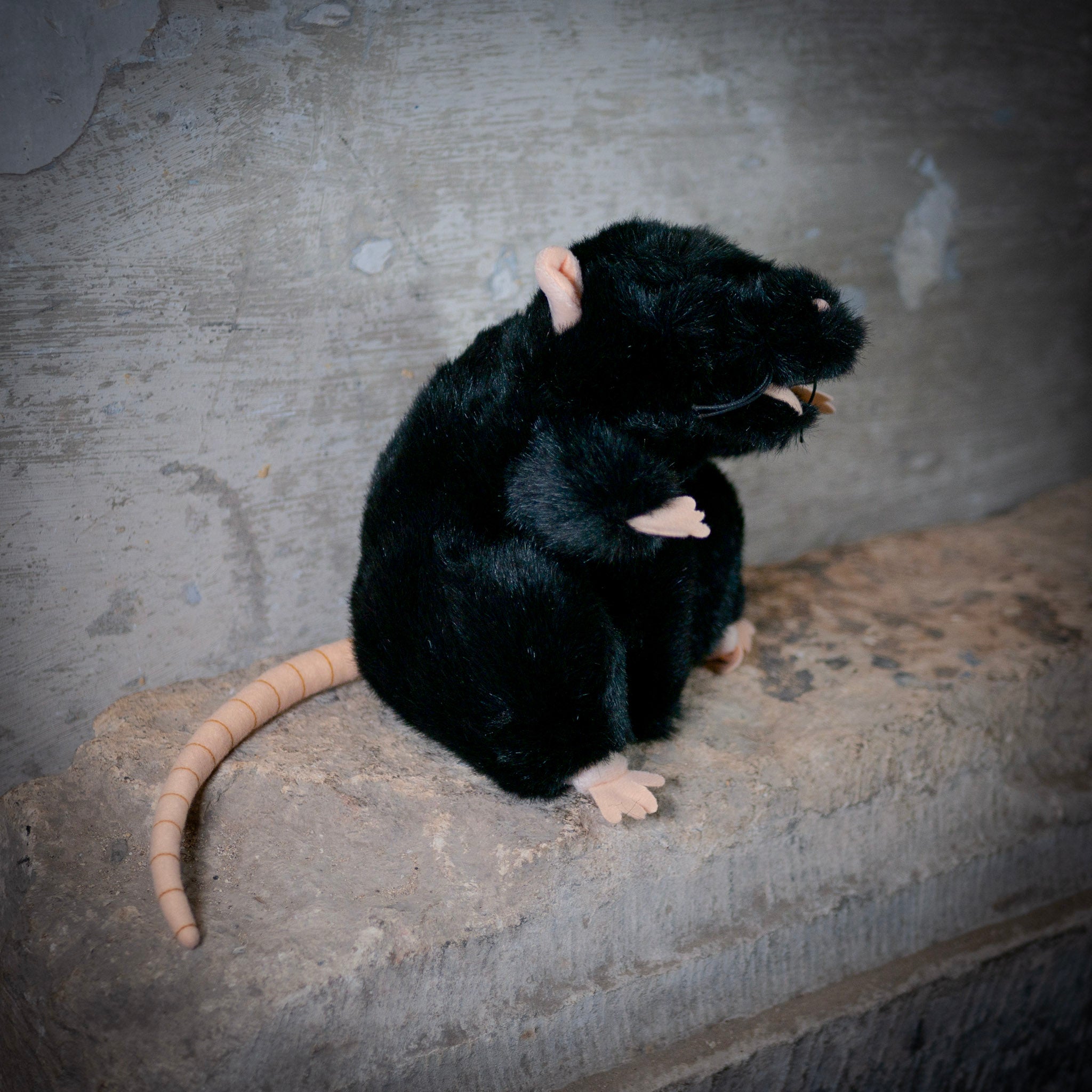 Black Rat Hand Puppet – Oxford Castle & Prison